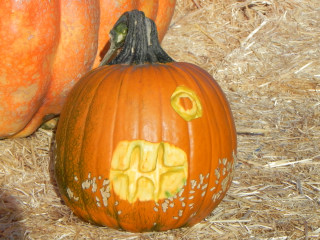Bitten, Nipomo Pumpkin Patch best carving idea
